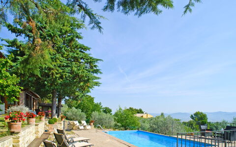 Agriturismo la Casetta di Chiara: Plante, Himmel, Vand, Ejendom, Sky, Svømmepøl, Træ, Udendørs Møbler, Skygge, Krop Af Vand
