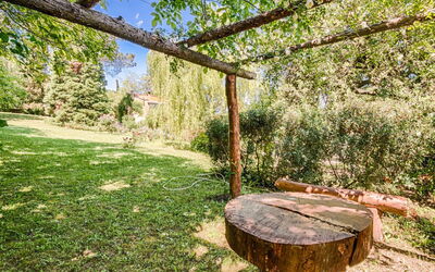 Campagnano Di Roma 20: Træ, Ejendom, Græs, Bagagerum, Ejendom, Vedplante, Woodland, Skov, Bord, Plante