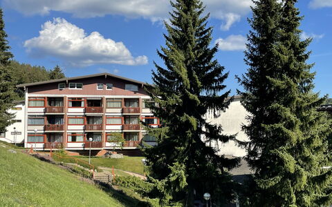 Schöne Aussicht (App 1406 Ex-Kurhotel): Sky, Himmel, Plante, Bygning, Vindue, Naturlige Landskab, Lærk, Træ, Vegetationen, Land Lot