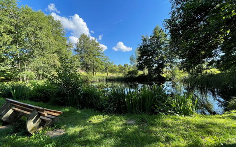 Schöne Aussicht (App 1406 Ex-Kurhotel): Plante, Himmel, Sky, Plantesamfund, Naturlige Landskab, Land Lot, Træ, Græs, Skygge, Træ