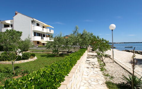 Zadar 136: Himmel, Plante, Bygning, Ejendom, Vindue, Træ, Gadebelysning, Vegetationen, Arecales, Sky