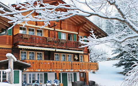 Chalet Jrene: Bygning, Himmel, Sne, Vindue, Træ, Verden, Kvist, Hus, Boligområde, Fryser