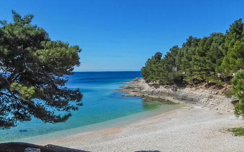 Martinović: Vand, Himmel, Vandressourcer, Plantesamfund, Naturlige Landskab, Azure, Træ, Coastal Og Oceaniske Landskabsformer, Strand, Terræn