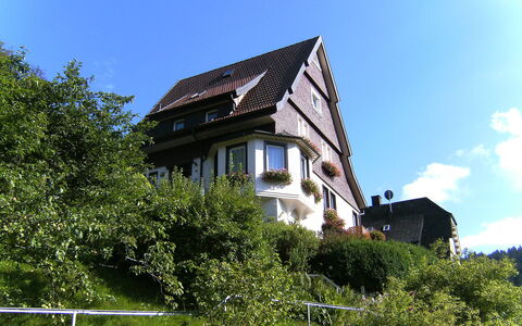 Triberg 100: Himmel, Bygning, Ejendom, Plante, Sky, Vindue, Hus, Vegetationen, Græs, Naturlige Landskab