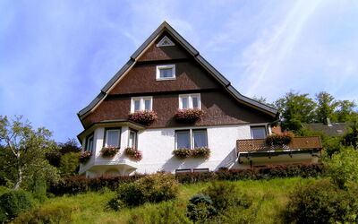 Triberg 100: Himmel, Sky, Plante, Bygning, Ejendom, Vindue, Træ, Hus, Træ, Land Lot