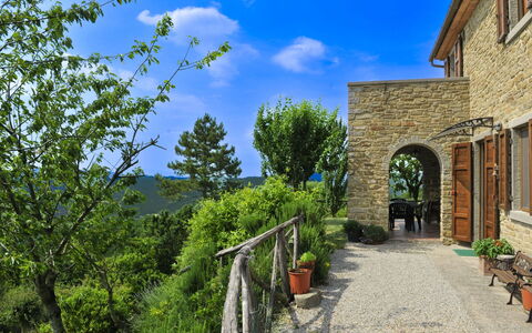 Casetta i Ciliegi: Have, Sommerhus, Stuehus, Skygge, Landscaping, Estate, Gård, Backyard, Stenmur, Hacienda