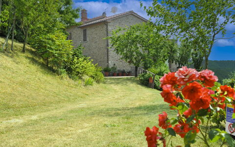 Casetta i Ciliegi: Have, Sommerhus, Stuehus, Skygge, Landscaping, Estate, Gård, Backyard, Stenmur, Hacienda