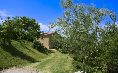 Casetta i Ciliegi: Have, Sommerhus, Stuehus, Skygge, Landscaping, Estate, Gård, Backyard, Stenmur, Hacienda