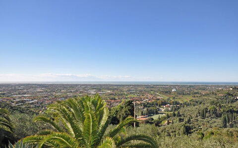 Villa Camaiore: Vegetationen, Himmel, Træ, Plantesamfund, Shrubland, Botanik, Palme Træ, Horisont, Plante, Bakke