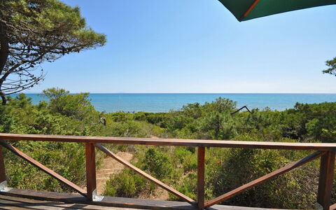 Casamare: Ejendom, Vegetationen, Himmel, Ejendom, Naturreservat, Ferie, Træ, Hus, Ocean, Altan