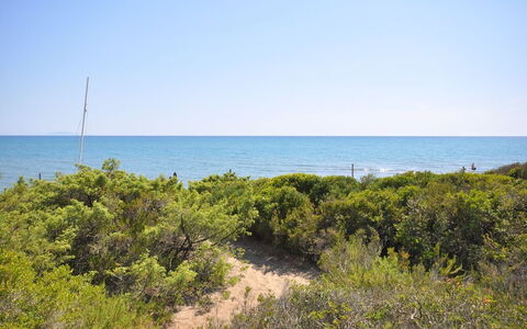 Casamare: Vegetationen, Hav, Kyst, Kyst, Naturligt Miljø, Strand, Ocean, Shrubland, Himmel, Plantesamfund