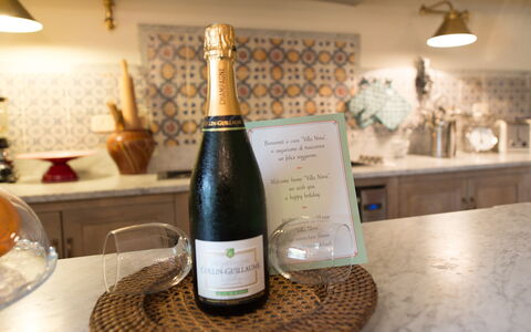 Villa Nova: Drikke, Champagne, Vin, Alkoholholdig Drik, Glas Flaske, Flaske, Vinflaske, Likør