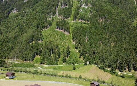 Neustift im Stubaital 410: Plante, Natur, Naturlige Landskab, Træ, Highland, Hældning, Land Lot, Bjerg, Biome, Lærk