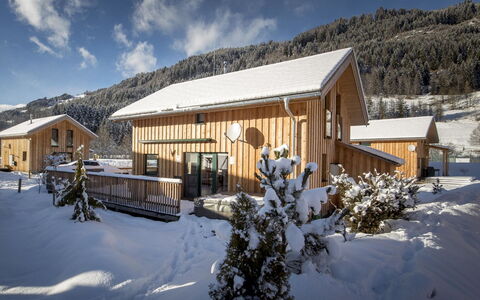 Superior # 15 mit Ir-Sauna & Sprudelbad: Sky, Himmel, Sne, Ejendom, Bygning, Plante, Hældning, Hus, Træ, Træ