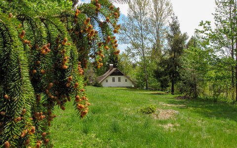 Sedmidomí: Plante, Blomst, Plantesamfund, Himmel, Blad, Træ, Naturlige Landskab, Hus, Græs, Vedplante