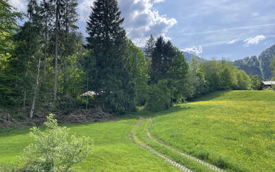 Schwänli