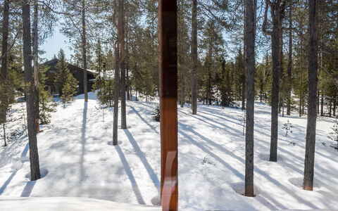 Katajarinne B: Sne, Træ, Vinter, Sommerhus, Hus, Tag, Hjem, Fryser, Bjælkehytte, Kvist