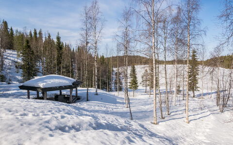 Mustalampi 2 Kurkiaura: Sne, Vinter, Træ, Afdeling, Naturligt Miljø, Træ, Landskab, Fryser, Skov, Hill Station