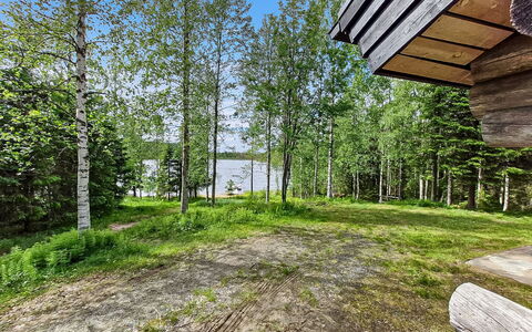 Hallan Kelo: Træ, Natur, Træ, Naturlige Landskab, Landskab, Land Lot, Plantesamfund, Skov, Woodland