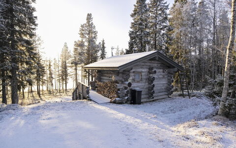 Saarenkainalo: Sne, Vinter, Afdeling, Træ, Tag, Sommerhus, Fryser, Bjælkehytte, Kvist, Hytte