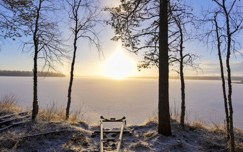 Saarenkainalo: Natur, Afdeling, Naturlige Landskab, Sol, Atmosfaeretryk Fænomen, Sollys, Kvist, Solopgang, Morgen, Vinter