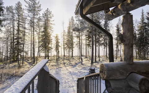 Saarenkainalo: Træ, Vinter, Sne, Fryser, Frost, Lærk, Gelænder, Hegn