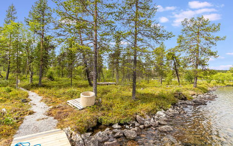 Villa Goskanjavri: Grøn, Naturligt Miljø, Natur, Vegetationen, Naturlige Landskab, Bank, Plantesamfund, Ødemark, Skov