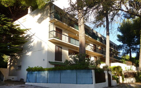 Le Clos Marin: Plante, Bygning, Daytime, Ejendom, Himmel, Træ, Arkitektur, Vindue, Sollys, Urban Design