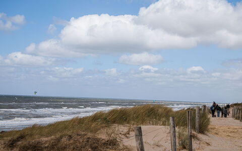 De Zeeparel: Sky, Himmel, Vand, Træ, Coastal Og Oceaniske Landskabsformer, Cumulus, Strand, Træ, Horisont, Almindeligt