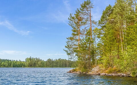 Villa Sipilä: Træ, Sommerhus, Bjælkehytte, Skov, Skur, Garden Bygninger, Lærk, Woodland, Bejdse