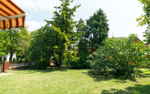 Picea: Plante, Himmel, Sky, Naturlige Landskab, Bygning, Land Lot, Træ, Skygge, Evergreen, Ejendom