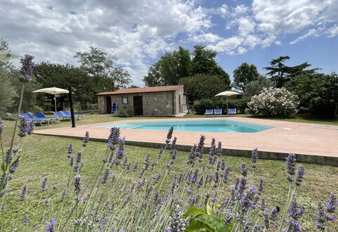 Funghi 1: Sky, Plante, Himmel, Vand, Blomst, Svømmepøl, Træ, Græs, Naturlige Landskab, Fritid