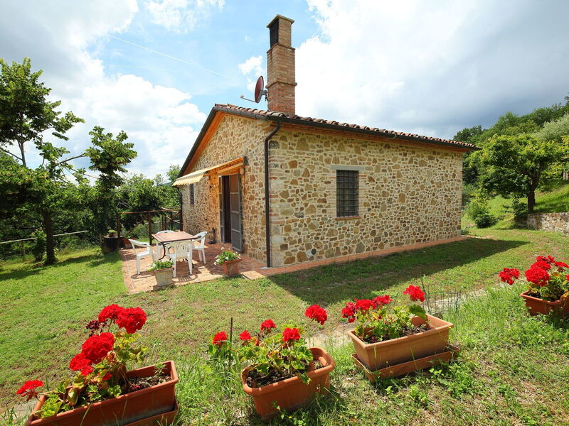 Cortona 935