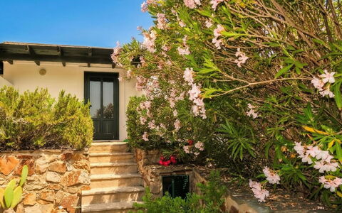 Sa Casitta: Busk, Have, Landscaping, Stuehus, Walkway, Blossom, Rose Family