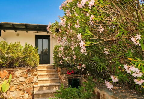 Sa Casitta: Busk, Have, Landscaping, Stuehus, Walkway, Blossom, Rose Family