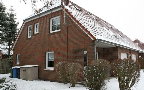 Nordlicht: Plante, Himmel, Bygning, Sne, Vindue, Hus, Træ, Sommerhus, Hældning, Træ