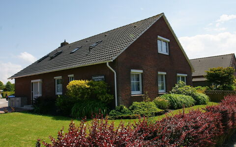 Norddeich 781: Plante, Himmel, Sky, Bygning, Vindue, Ejendom, Blomst, Hus, Botanik, Vegetationen