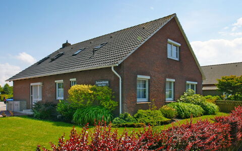 Norddeich 781: Plante, Himmel, Blomst, Sky, Vindue, Bygning, Hus, Træ, Land Lot, Vegetationen