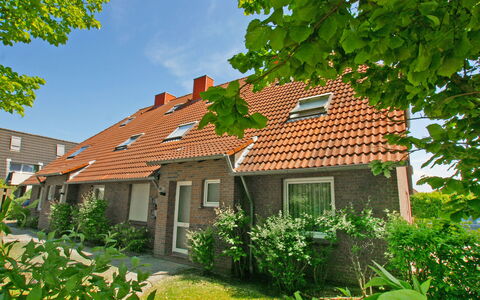 Norddeich 740: Plante, Bygning, Himmel, Ejendom, Vindue, Grøn, Natur, Hus, Naturlige Landskab, Træ