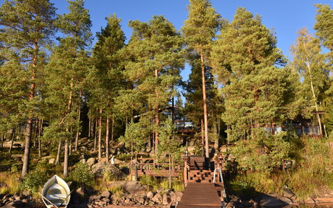 Villa Miestamo: Træ, Krop Af Vand, Naturligt Miljø, Natur, Træ, Naturlige Landskab, Bank, Sø, Skov