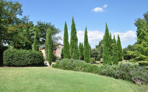 Le Querce Di Campocane: Træ, Græs, Have, Thuya, Busk, Lawn, Plante, Botanisk Have, Ejendom, Vedplante