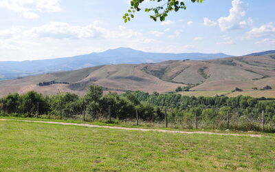 Le Querce Di Campocane