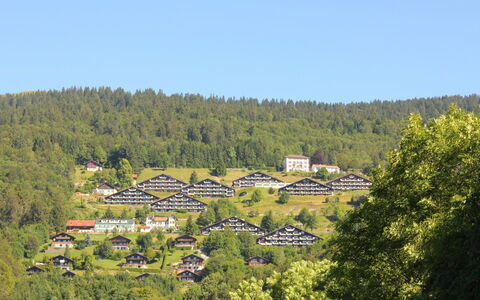 Licorne: Himmel, Bjerg, Træ, Naturlige Landskab, Bygning, Land Lot, Plante, Hus, Græs-, Græs