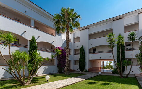 Casa Vecchi: Plante, Himmel, Daytime, Ejendom, Bygning, Vindue, Træ, Arecales, Boligområde, Ejendom