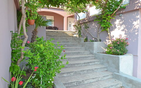 Novigrad (Zadar) 112: Plante, Bygning, Ejendom, Blomst, Trappe, Blad, Hus, Vindue, Vejbelægning, Vegetationen