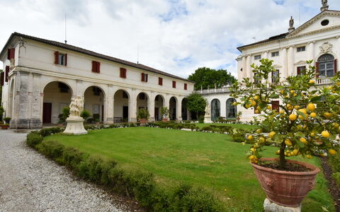 Barchessa Palladio: Busk, Estate, Have, Mansion, Hacienda, Lawn, Officielle Residens, Villa, Palads, Gård