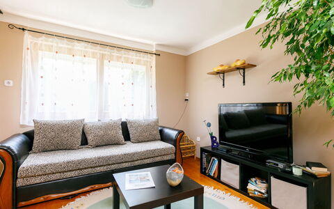 Duetto: Couch, Ejendom, Møbel, Plante, Komfort, Bord, Stue, Træ, Studio Couch, Indretning
