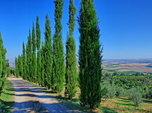 Villa Montalcino