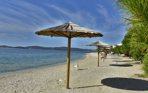 Zadar Bibinje 208: Vand, Sky, Himmel, Azure, Natur, Plante, Skygge, Træ, Arecales, Strand