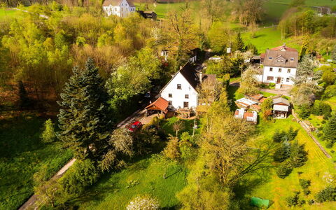 Haus Keller: Plante, Bygning, Træ, Naturlige Landskab, Hus, Vindue, Land Lot, Vegetationen, Boligområde, Græs